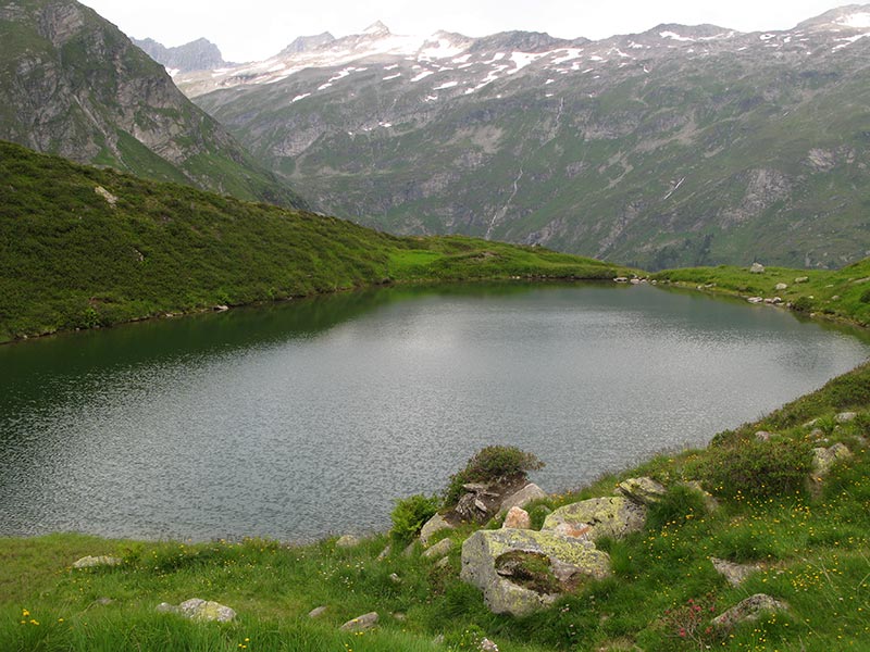 wildenkogel